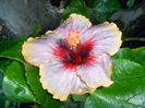 SAM_0502