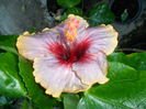 SAM_0501