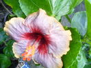 SAM_0497