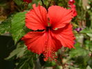 DSCN8237
