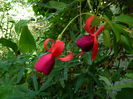 DSCN8243