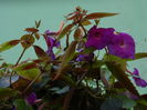 DSCN8297