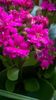 WP_20150926_08_47_23_Pro