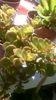 WP_20150908_13_25_30_Pro