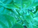 P1040382
