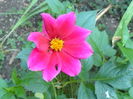P1040420