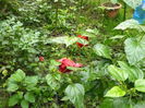 P1040444