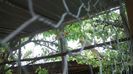 IMG_20150926_174110975