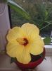 ^674AEC01D16DE24DC8B1FA760B0ED1512290FEDED011B95302^pimgpsh_fullsize_distr