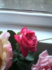 IMG_20150927_084311