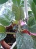 20150927_165038