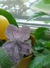 20150927_165121