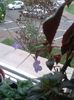 20150927_165128