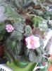 20150927_165221