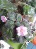 20150927_165226