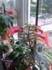 20150927_165335