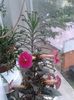 20150927_165342