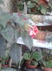 20150927_165426