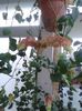 20150927_165437