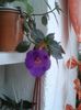 20150927_165456