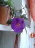 20150927_165503