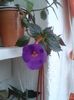 20150927_165507