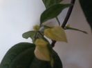 20150927_135405