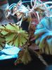 begonia bowarae nigramarga 14.08.2015