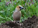 am un profil frumos?