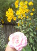 DSCN0499