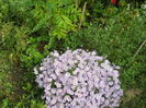 DSCN0504