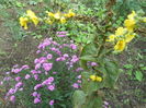 DSCN0506