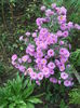 DSCN0495