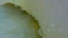 DSC04984