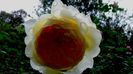 DSC05000