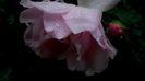 DSC05016