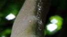 DSC05030