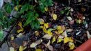 DSC05048