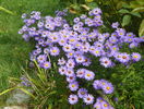 25 sept 032