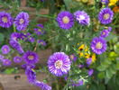 25 sept 027