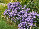 25 sept 029