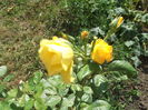 DSCF1920