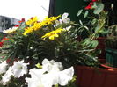 DSCF2222