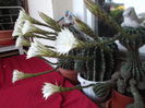 DSCF2276