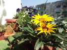 DSCF2277