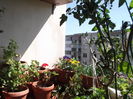 DSCF2031