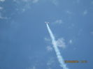 Picture 3975