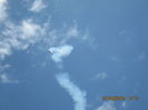 Picture 3976