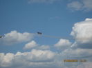 Picture 3977