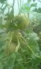 IMG-20150912-WA0002